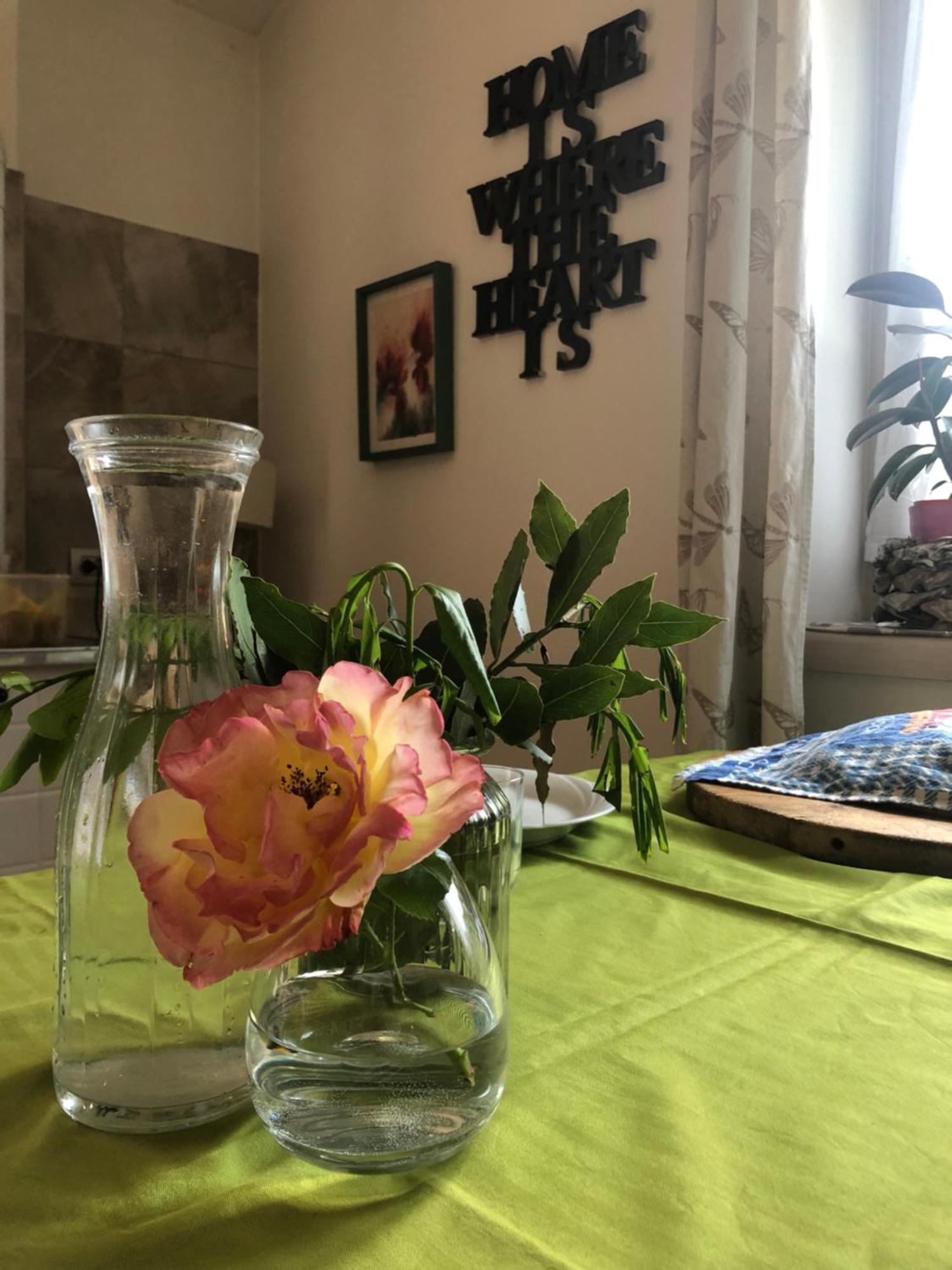 B&B Haus Senter Trambileno 外观 照片